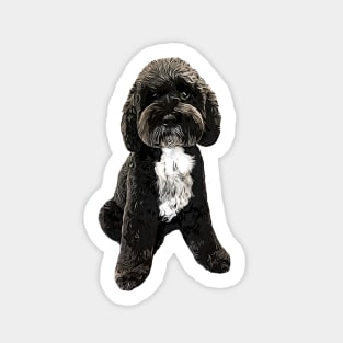 Cockapoo Cavapoo Black with White Puppy Dog Sticker